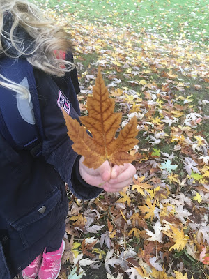 petite fille tient une feuille d'érable