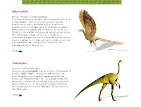 http://www.revista.unam.mx/vol.2/num4/sabias1/tipos.html#estiracosaurio