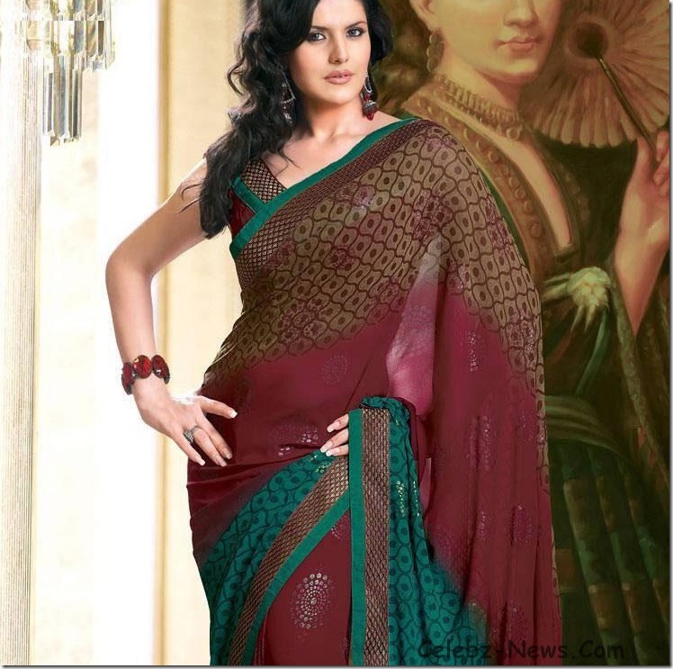 zarine-khan-saree-7