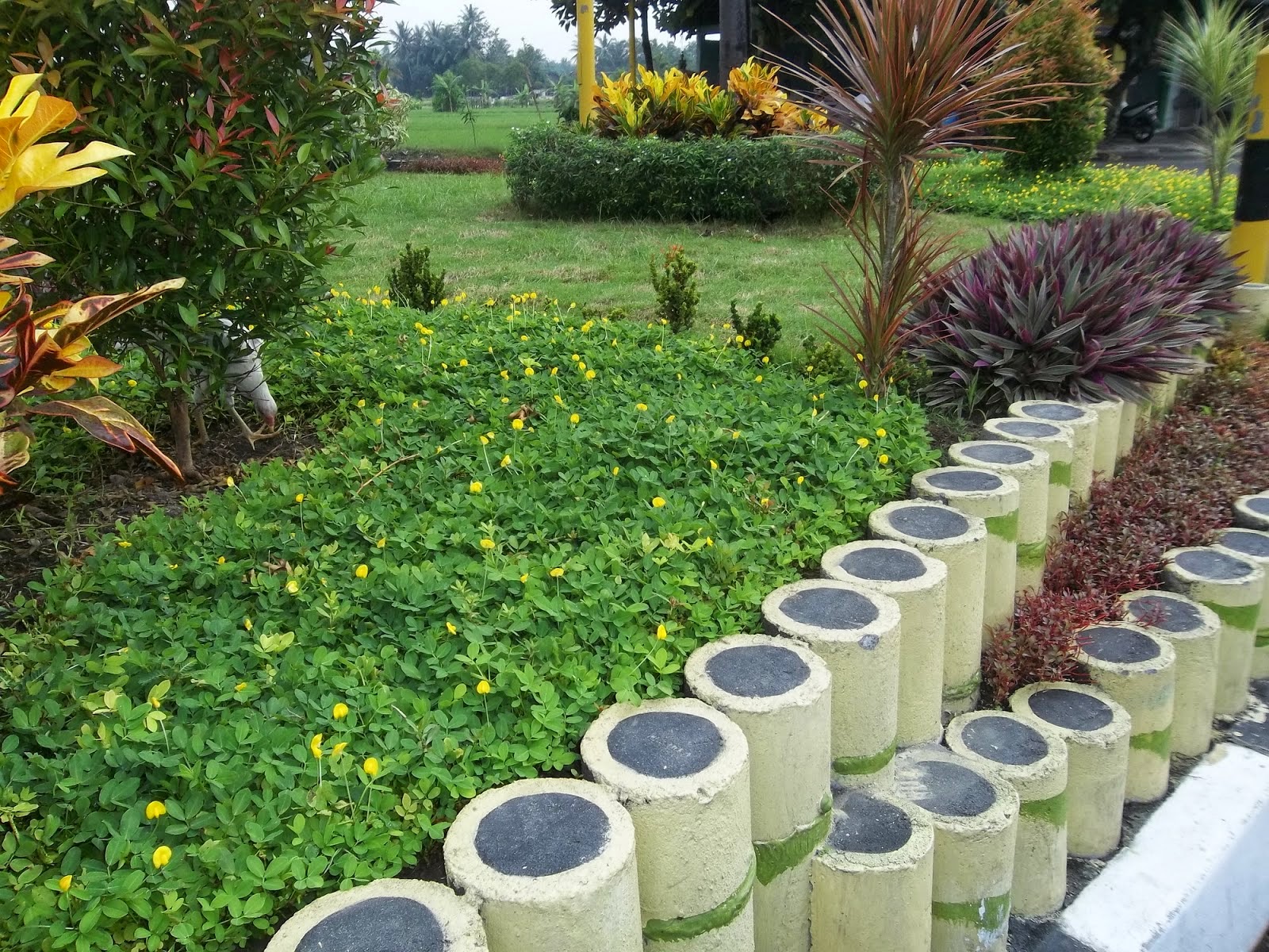  Dekorasi Taman Kelas Dari Bambu 