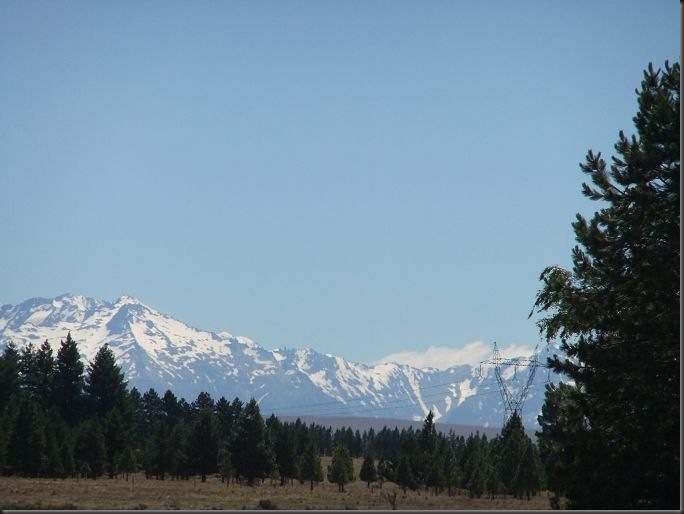 DSCF0565