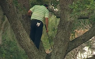 le golfeur espagnol Sergio Garcia frappe une balle depuis un arbre 