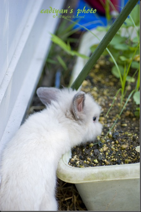 D700_2012-08-04_010