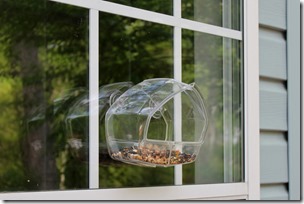 1-IMG_0439
