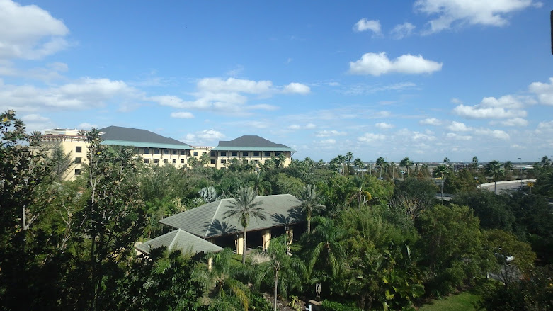 A view from the window. Visible are other resort buildings and the tops of a veritable forest of palm trees.