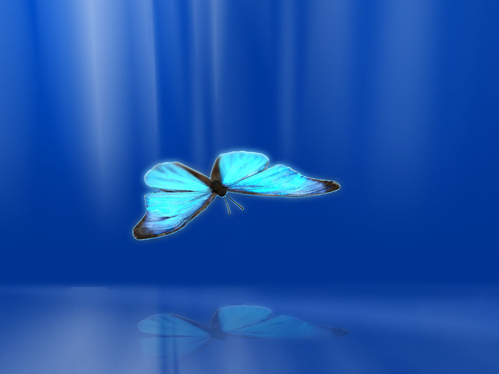 Blue Butterfly Art Wallpapers