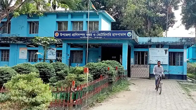 নন্দীগ্রামে পশু হাসপাতালে আড্ডায় ব্যস্ত চিকিৎসক