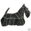 Saia - Tosa Scottish Terrier