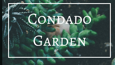 Vaga para jardinagem em Capão da Canoa