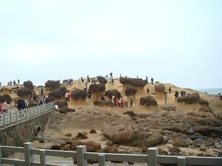 野柳地質公園｜野柳風景特定區｜北海岸一日遊｜新北萬里景點