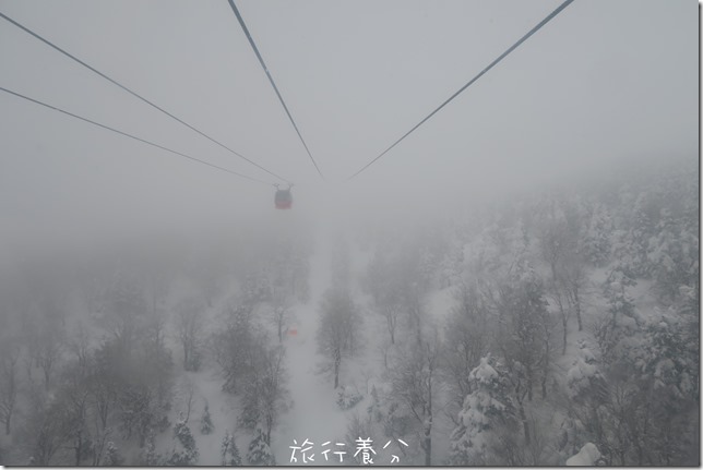 山形 藏王樹冰 (40)