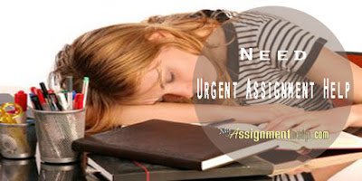 Need Urgent Assignment Help? Here Are Pro Tips To Finish Your Assignment Bang On Time!