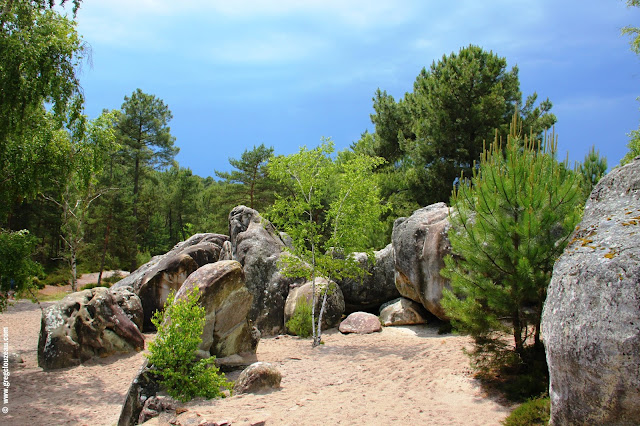 Paysage du Rocher de l'Eléphant, Larchant, (C) 2014 Greg Clouzeau