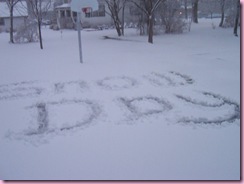 SnowDay