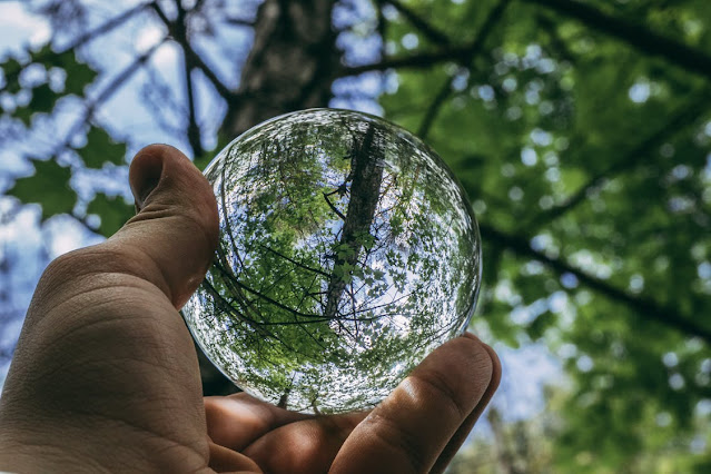 Reflection of nature through a glass sphere