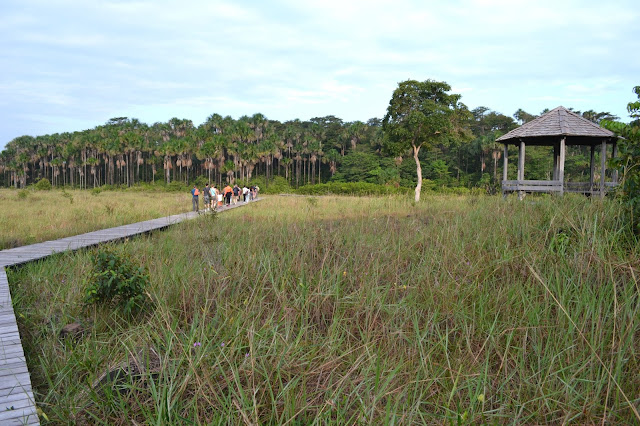 Guyane, Kourou, CSG, centre spatial Guyanais, CNES, savane, nature, singe, perroquet, visite.