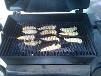Chicken strips