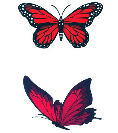 butterfly tattoo art. Butterfly Tattoo (Album 7)