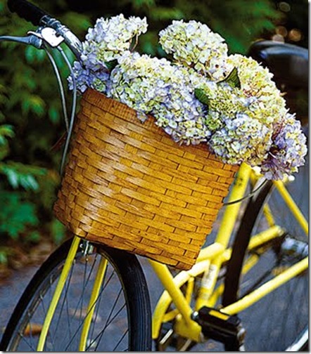 compulsively compiled hydrangea in bike basket