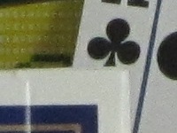 Canon 500 HS Sample Image