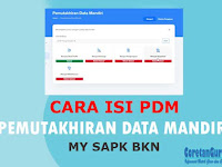 Cara Isi Pemutakhiran Data Mandiri PDM di My SAPK Untuk PPPK 