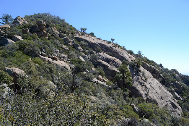 rock dome, likely granite