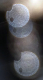 complex paranormal pattern