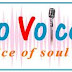 Radio Voice 24