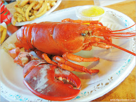 Lobster Shacks en Massachusetts: Langosta del JT Farnham's