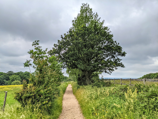 Little Berkhamsted bridleway 17 heading NW