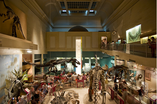 El museo de historia natural fue una de las instituciones creadas por los imperios coloniales, en este caso para almacenar los objetos geológicos, los fósiles y los restos muertos de animales y plantas.