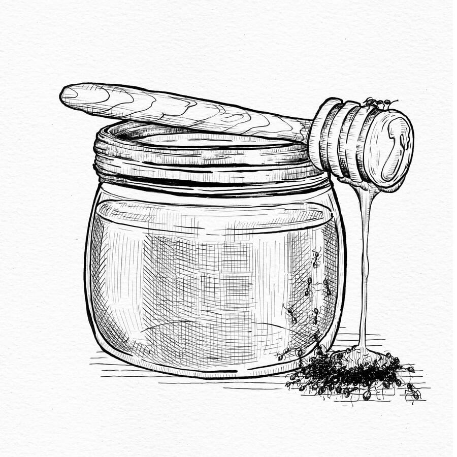 08-An-ant-honey-feast-Animal-Drawing-Elena-Cela-www-designstack-co