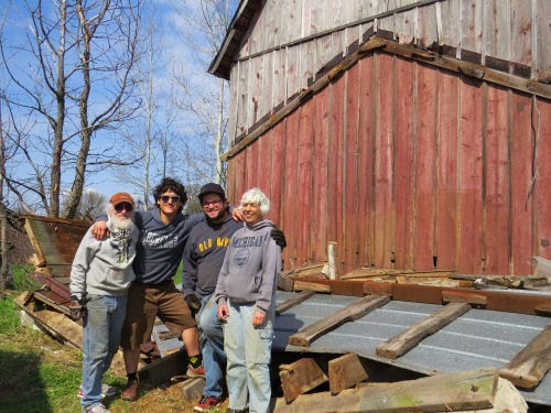 shed demolition