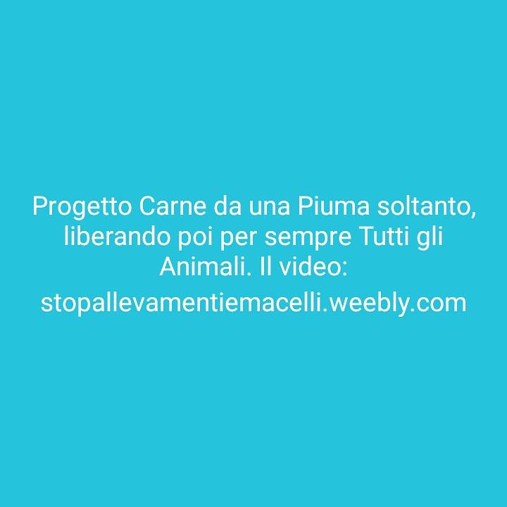 Progetto Carne da Una Piuma Soltanto, Liberando Per Sempre Tutti Gli Animali