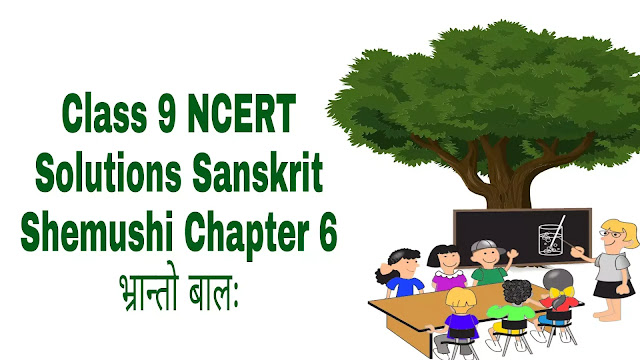 Class 9 NCERT Solutions Sanskrit Shemushi Chapter 6 भ्रान्तो बालः