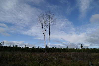 höstlandskap