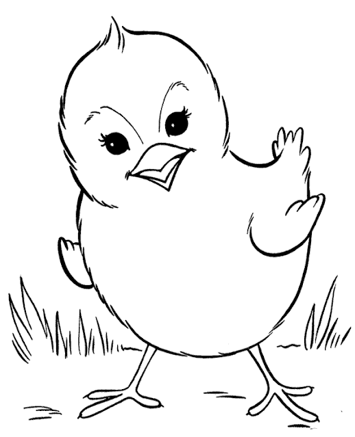 Best Free Printable Little Bird Coloring Pages