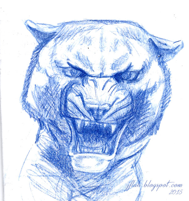 tiger sketch - jfleming 2015