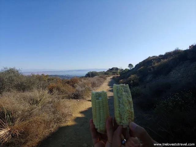 How to get to Topanga Lookout Trailhead California