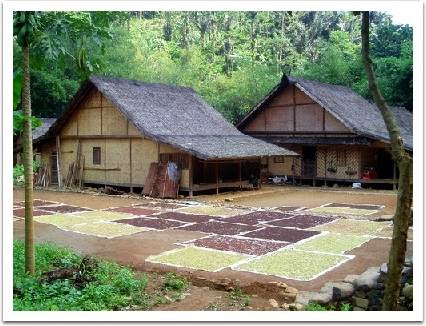 Rumah Adat di Indonesia  Sistem Pemerintahan Indonesia