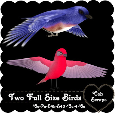 http://cohthisandthat.blogspot.com/2009/11/cu-ftu-full-size-birds.html