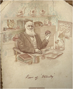 darwin
