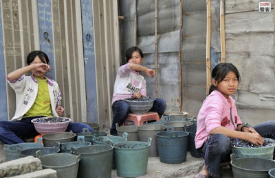 China’s Electronic Waste Hell Seen On www.coolpicturegallery.us