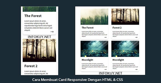 Cara Membuat Card Responsive Dengan HTML & CSS