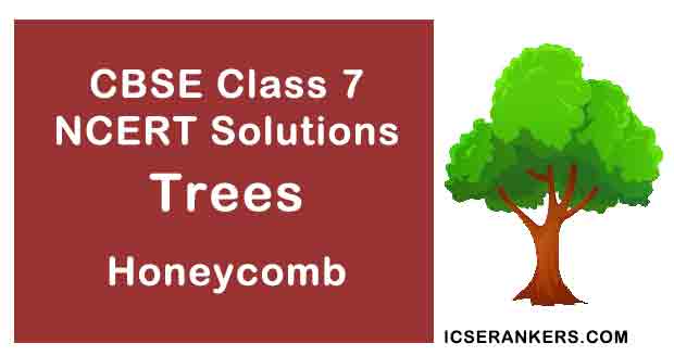 NCERT Solutions for Class 7th English Poem Trees