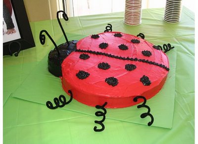 Ladybug Birthday Cakes on Birthday Cake  Ladybug Cake Ideas