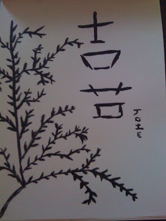 soune design deco interieur lf les croquis devoir