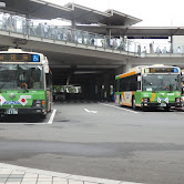 ポリコレ蛮族