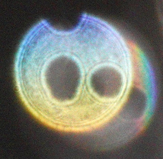 yellow orb with holes