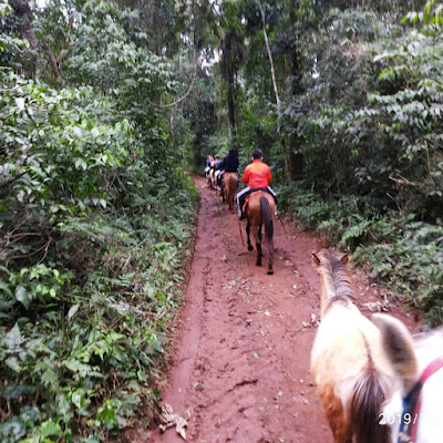 Traslado a la cablagata del Indio Solitario, Selva del Iguazu, Argentina